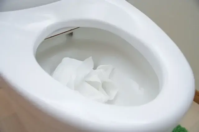 なぜティッシュはトイレをつまらせるのか？トイレットペーパーとの決定的な違い